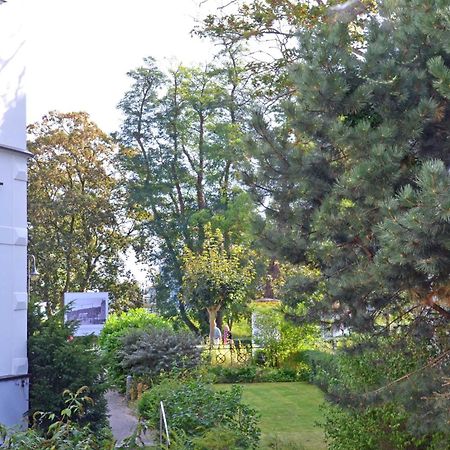 Ruhige Fewo Mit Strandkorb, Villa Stranddistel, Binz Exterior foto